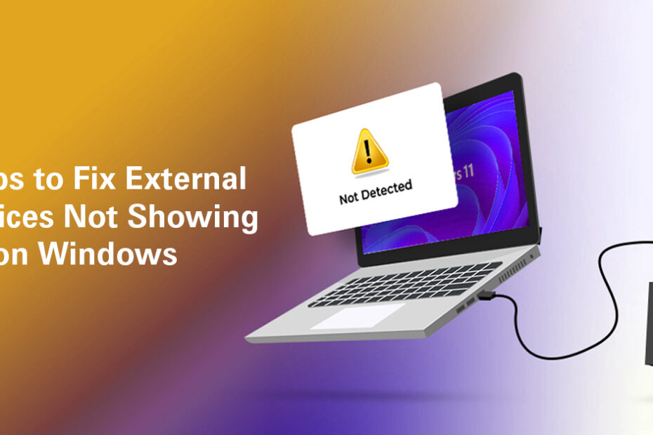 Steps to Fix External Devices Not Showing Up on Windows
